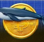 Cá Voi Bitcoin Trị Giá 40 Triệu USD “Thức Giấc”: Dấu Hiệu Gì Cho Thị Trường Crypto? 🚀